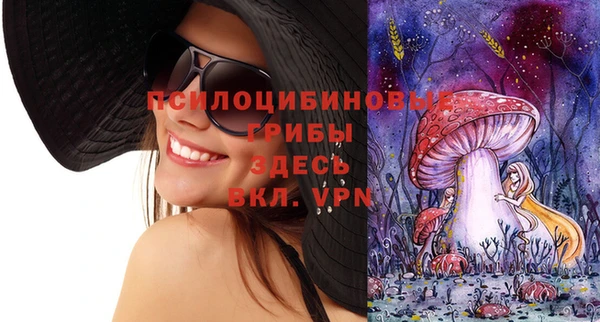 спайс Алзамай