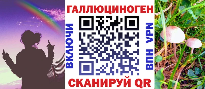 даркнет телеграм  купить наркотики сайты  hydra как войти  Бабаево  Псилоцибиновые грибы мухоморы 